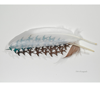 Chris Maynard feather art